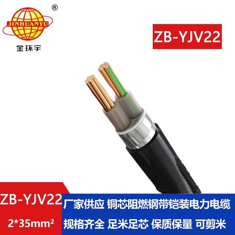 金環(huán)宇電纜 二芯yjv22電纜 ZB-YJV22-2X35平方 阻燃鎧裝電纜